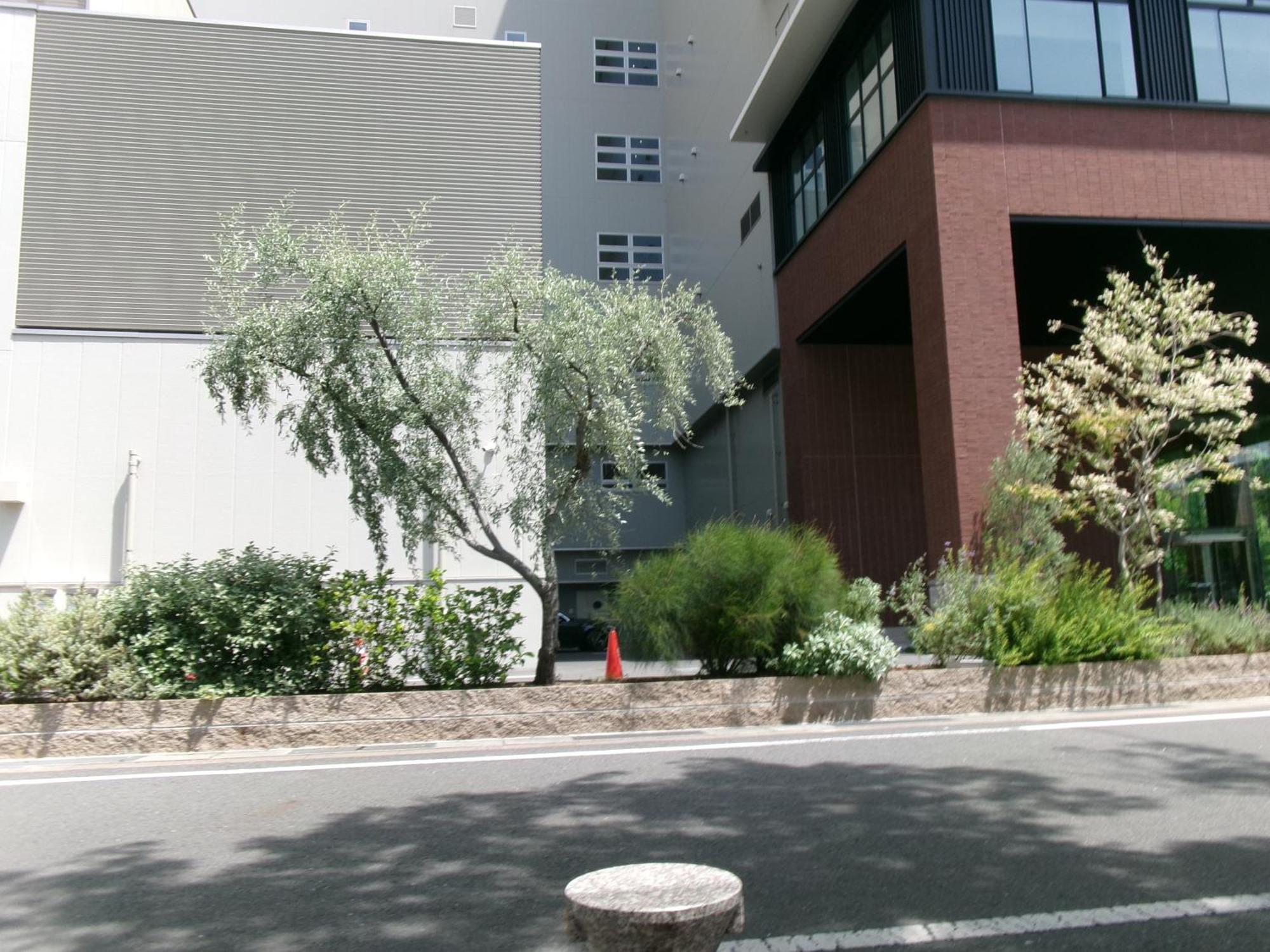 Lazy House Hotel Okayama Ngoại thất bức ảnh